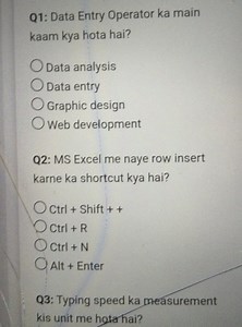 Q1: Data Entry Operator ka main kaam kya hota hai?Data analys... | Filo