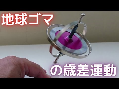 Precession of the Earth Top