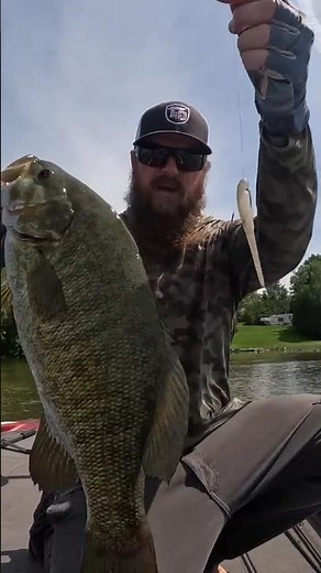 🔥 The Tiny Bait That Catches BIG Bass! 🔥