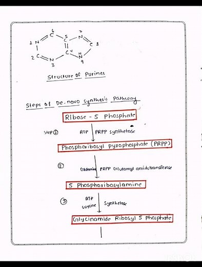Biosynthesis of purine #biochemistry #pharmacy #mbbs1styear #bscnursing