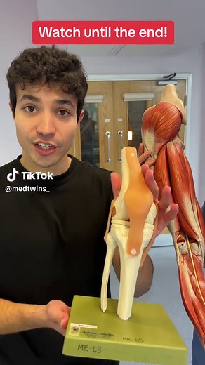 Understanding Fibula Fractures and Common Peroneal Nerve Injuries