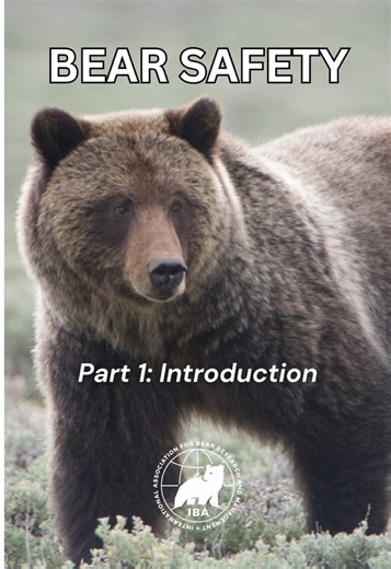 Part 1 - Introduction IBA’s Bear Safety Series for North American bears This is the introductory video in the “Safety in Bear Country” video series. This series will be a major educational tool for anyone living, traveling, or working in American black bear and grizzly bear country in North America. It includes the consensus opinion of leading experts on bear behavior and its relevance to human safety. Viewers will develop a better understanding of bear behavior and how this knowledge can help t