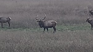 James Jim Bybee on Reels | Facebook