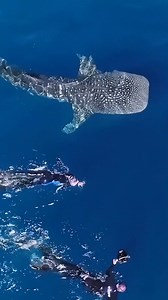 Whichever way you look at it, Australia's a real natural beauty. | Australia.com