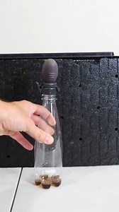 82K views · 598 reactions | Coke clouds are sweet ☁️ #experiment #chemistry #physics #science #coke #reels | The Action Lab | Facebook