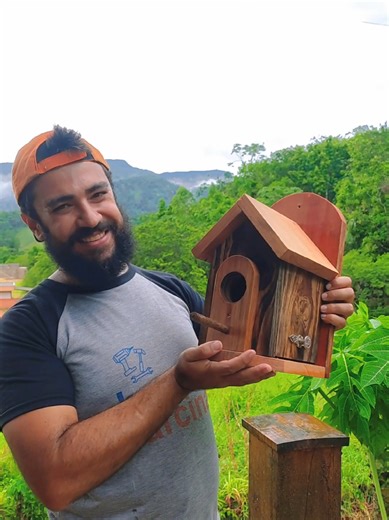Casinha de Passarinho: DIY para o Seu Quintal