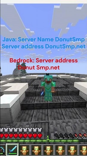 How to Join the DonutSmp (Bedrock and Java)