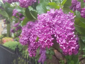 3 Out-Of-The Box Mother's Day Ideas In Boston