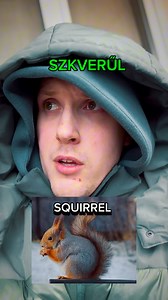 Hungarian lengvidzs 🇭🇺🇺🇸💪 #hungarian #language #hunglish #magyar #funny #fun #humor #language #languages #joke #squirrel #pálpeti | Pál Péter