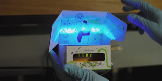 University of Florida lab diagnoses and removes viruses through genome editing