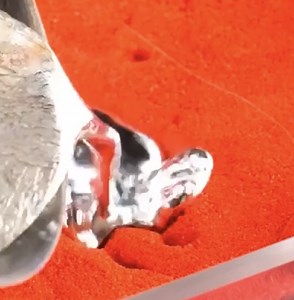 1.7M views · 1.3K reactions | I made a memorial area for my beloved dog! | 5-Minute Recycle | Facebook