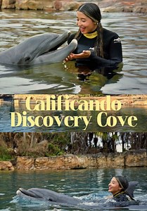 ¿Sabías que existe un parque todo incluido en Orlando? 🌴🐬 Después de visitarlo entendí por qué tanta gente lo recomienda. Encuentra más información en TikTok Go. ✨ #DiscoveryCove #TikTokGo #VisitOrlando #FloridaLife #traveltok