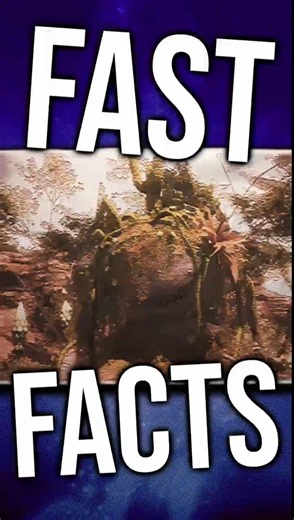 FFXIV Fast Facts | The Great Goobbue Wall