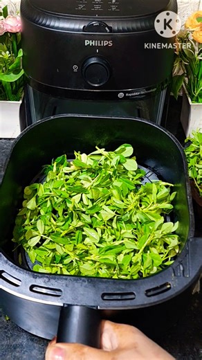 kasuri Methi Power in the Airfryer 😉#shorts #ytshorts #ytviral #shortsfeed #younginfluencers #methi
