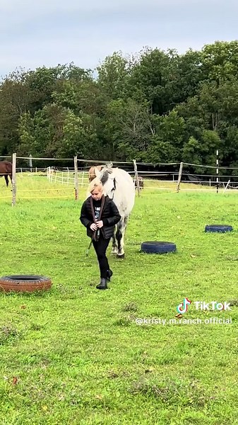 Videa uživatele Kristy.M Ranch (@kristy.m.ranch.official) s původní zvuk - Kristy.M Ranch