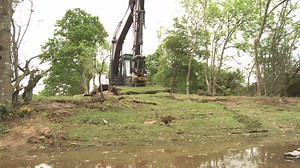 69K views · 1.1K reactions | Wildlife presenter Simon King explains how work to restore miles of artificially-straightened streams in the New Forest to their natural course is bringing benefits for nature and people. Discover how the Higher Level Stewardship scheme is enhancing the internationally-important habitats of the New Forest at www.hlsnewforest.org.uk | New Forest National Park Authority | Facebook