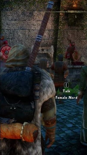 Skyrim: Trying to save Roggvir