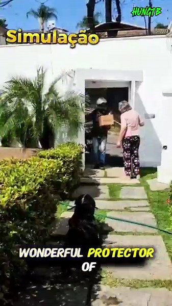 Turn Your Dog Into a Guard Dog: How to Train a Rottweiler at Home 🐕‍🦺🚨 #dog #becgie #dogk9