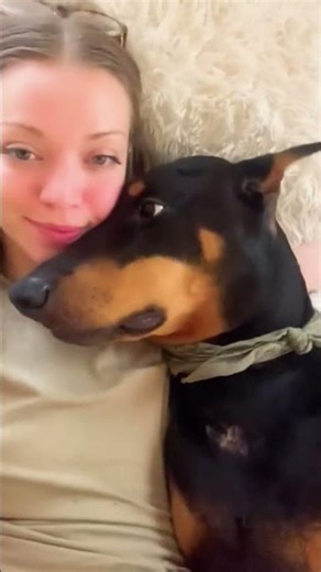 "Dog Pranks Compilation | #DogPranks #FunnyPets"