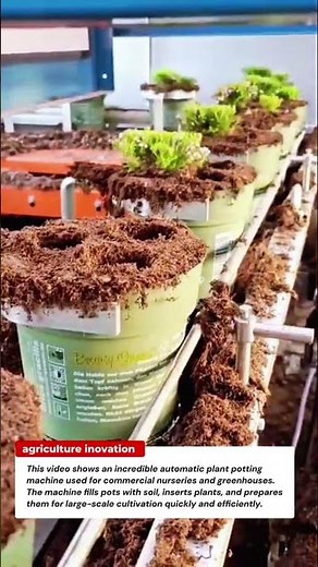 Automatic Plant Potting Machine – Fast Soil Filling & Planting System