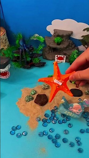 Starfish Unboxing! A Fun Fact Surprise for Toddlers