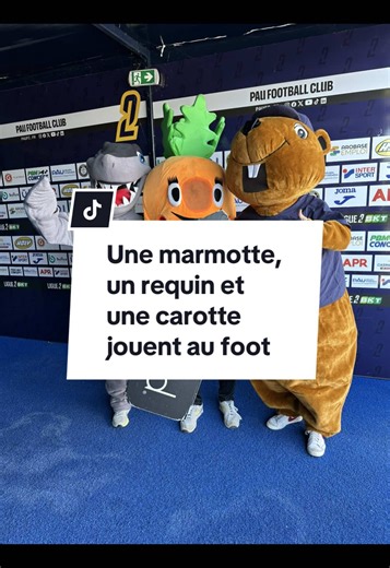 Marmotte, Carotte et Requin au Foot au Nouste Camp