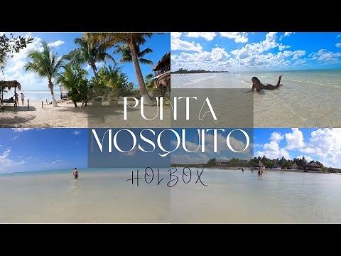 Punta Mosquito, Isla Holbox, Mexico | Feb. 2022 Plus 8 Tips to Enjoy This Beach