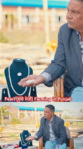 How to start pearl farming from home ? | Kulpreet Brar Talks | #organicfarming #motivation #podcast