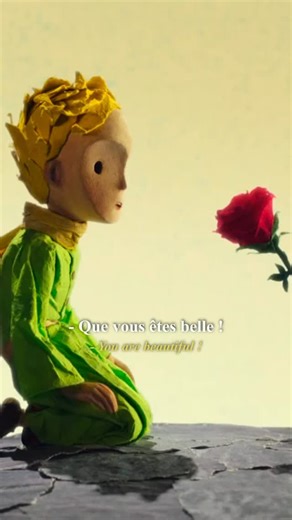 Le Petit Prince 🥹✨ . Le Petit Prince, adaptation de Mark Osborne Dans Le Petit Prince de Saint-Exupéry, la rose incarne la morale de l’amour et de la responsabilité. Elle symbolise l’attachement sincère malgré les imperfections. Le Petit Prince comprend, à travers son voyage, que sa rose est unique non pas parce qu’elle est la plus belle, mais parce qu’il l’a aimée et apprivoisée. La leçon qu’il en tire est que l’essentiel est invisible aux yeux et que l’on devient responsable de ce que l’on ap