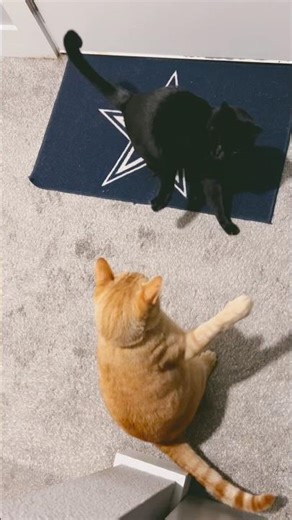 Headed for a Showdown