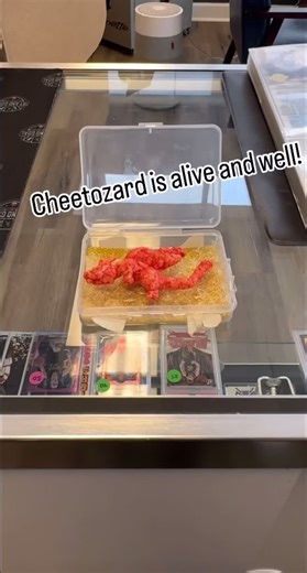 Rare Cheeto Sells for $87,000 at Auction