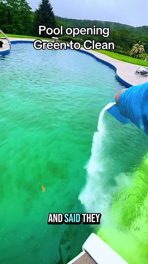 Transform Your Green Pool to Clean in Days