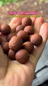 Secret 7 from DNA Baits is one of the most effective fishmeal baits to ever hit the carp market. It remains as effective and as popular as it ever was and will no doubt catch tens of thousands of carp across the globe in 2026, as it does every single year. 🚨 GET 10% OFF! Get 10% off with DNA Baits by using the following code via the DNA website: CARPADDICT *This applies to everything except post-free bulk deals and gift cards. Enjoy! 👌 #Secret7 #carpaddict #dnabaits #carpfishing #carplife #fis