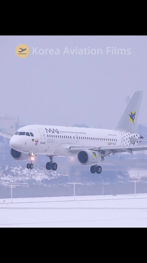 Myanmar Airways International Airbus A319 Flight Details
