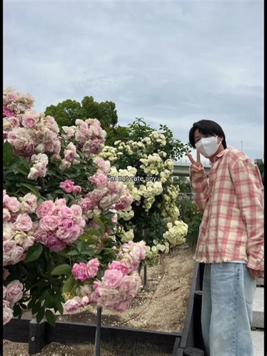 Exploring Love in Relationships with Ryota
