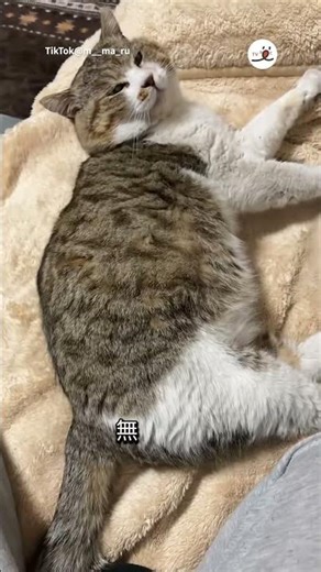 うちに来て食べて寝る…それだけ｜PECO