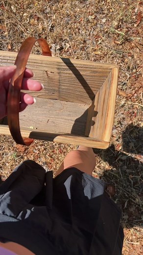 Fruit harvest 🫶🏻• nectarines, a single pluot, a couple of pears & a little apple! 🍏 #growyourownfood #gardenharvest #fruittrees