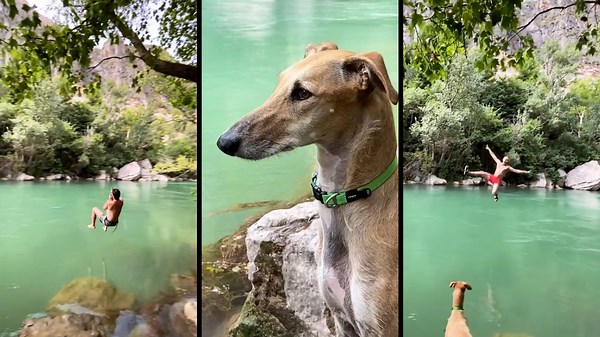 Let’s Go Swim: Dive Into the Fun!