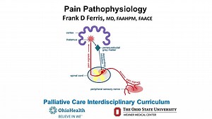 Pain: 1, Pathophysiology