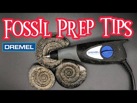 Fossil Prep Tips | Engraver (Dremel 290)