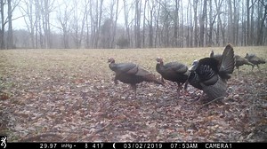 386 reactions · 72 shares | Daily, Seasonal, and Annual Hunting Leases now available. | Outdoor Access, Inc. | Facebook