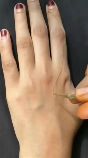 Beautiful Design Inspirations for Your Home