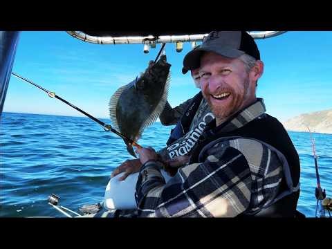 Halibut Limits!! + Catch & Cook!