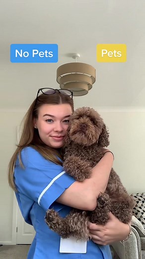 The Essential Choices of a Care Assistant in Bluebird Homecare 🤔💙