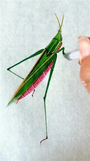 Chinese saber-toothed locust, freehand Chinese painting, Chinese painting tutorial, insect world