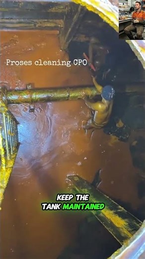 How Palm Oil Is Made: Factory Process