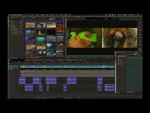 MEDIA COMPOSER 2019: BIN MONITOR, EDIT MONITOR SETUP