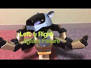Aibo DHS Repair eBay Auction
