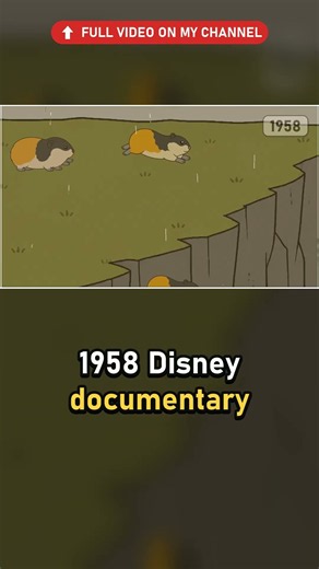 Lemmings never jumped off that cliff. A 1958 film crew pushed them.