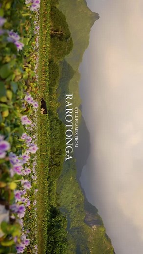 Discover the Beauty of Cook Islands in Stunning Footage